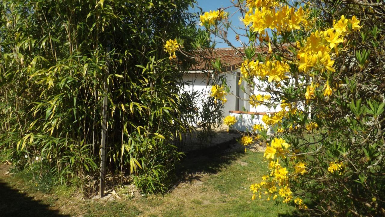 Breesfalt Gite Accomodation Villa Maisonnais-Sur-Tardoire Kültér fotó